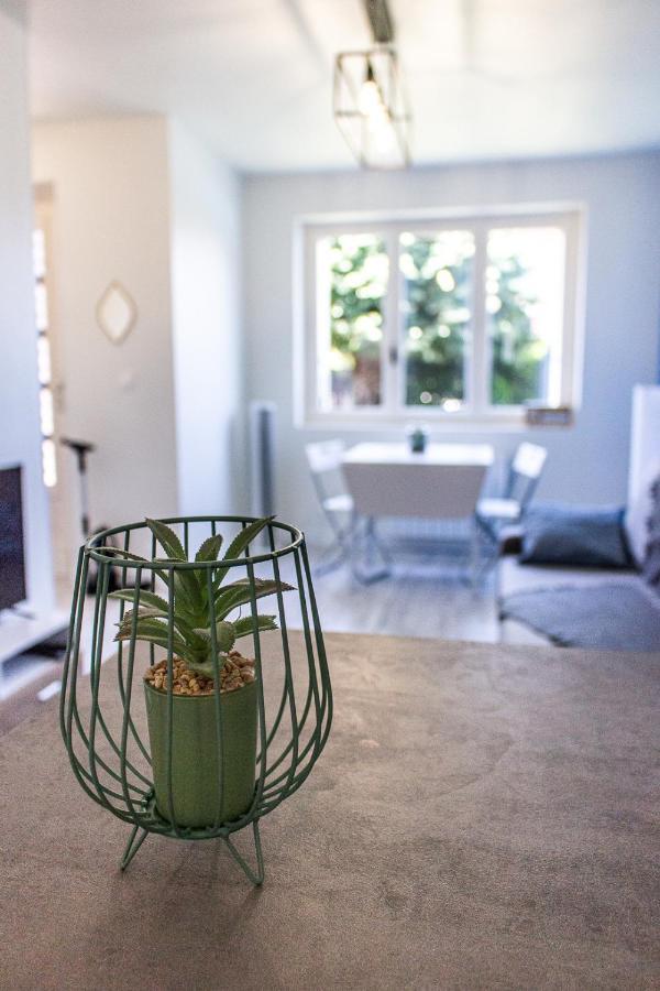 Ferienwohnung Maisonnette Avec Jardin, Parc Du Chene Bron Exterior foto